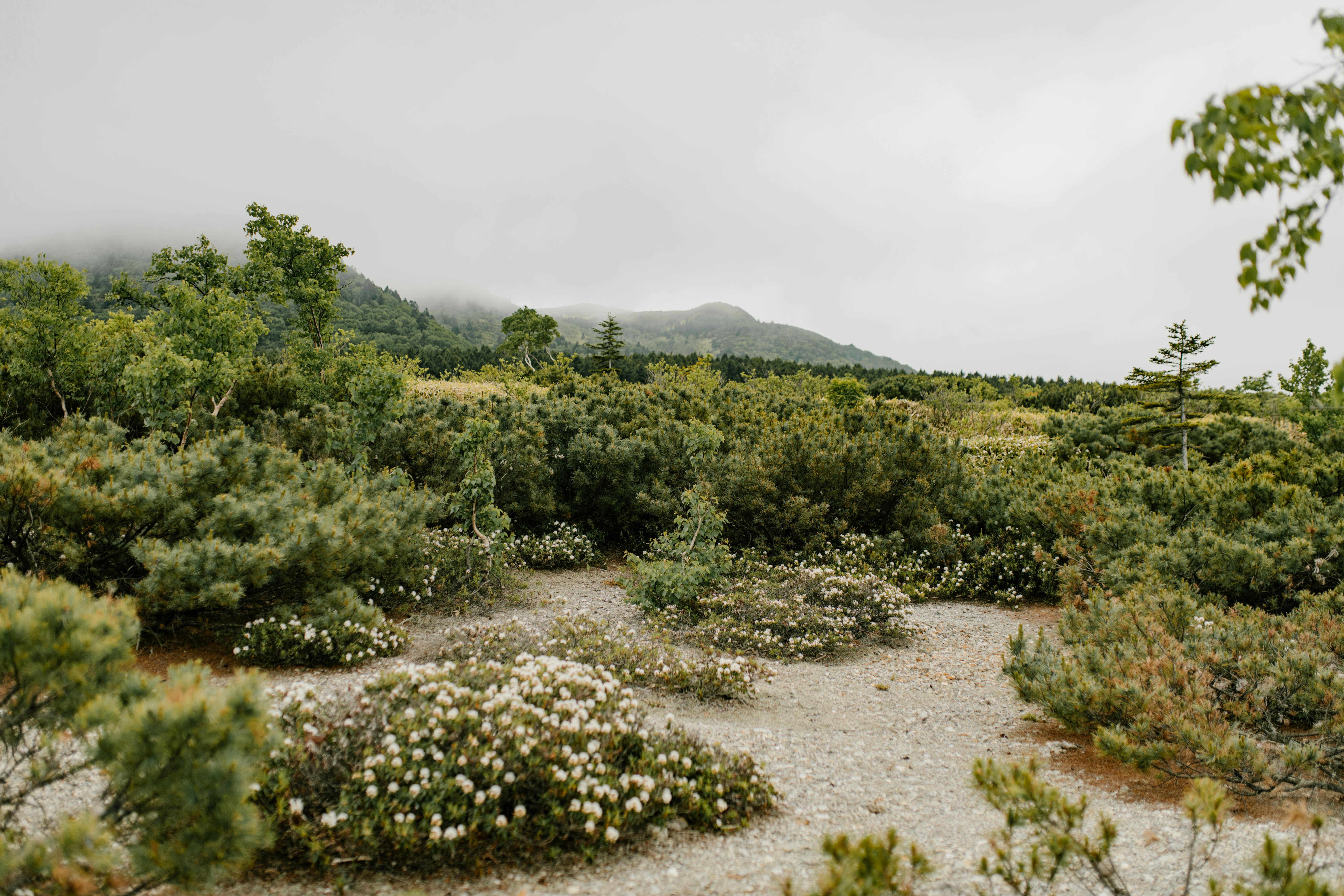 Куда податься, если кажется, что в России вы всё уже видели