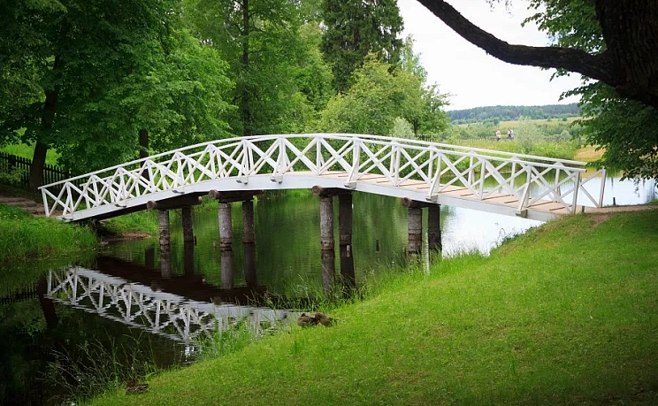 День 1. Пушкинские горы. Маковые поля - Изображение 1